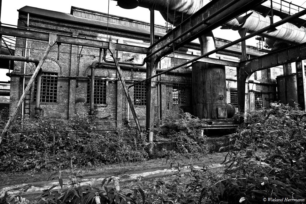 Landschaftspark_07